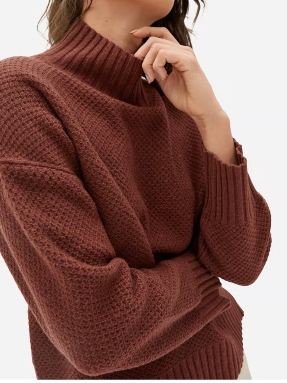 Everlane ReCashmere Stroopwafel Mockneck Sweater